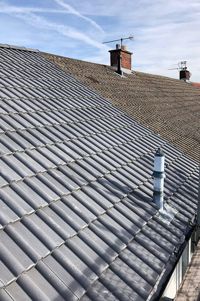 Stacks Image 1748