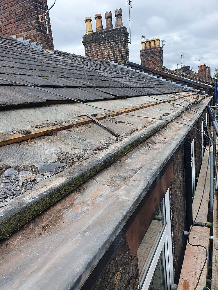 Stacks Image 1745