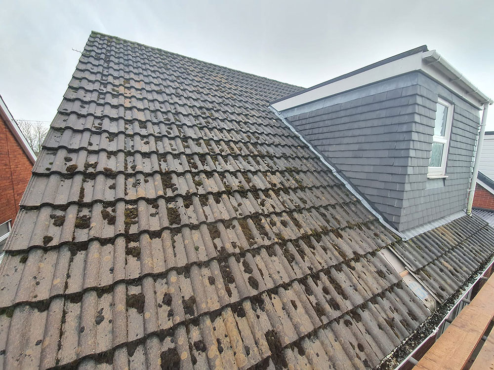 Stacks Image 1752