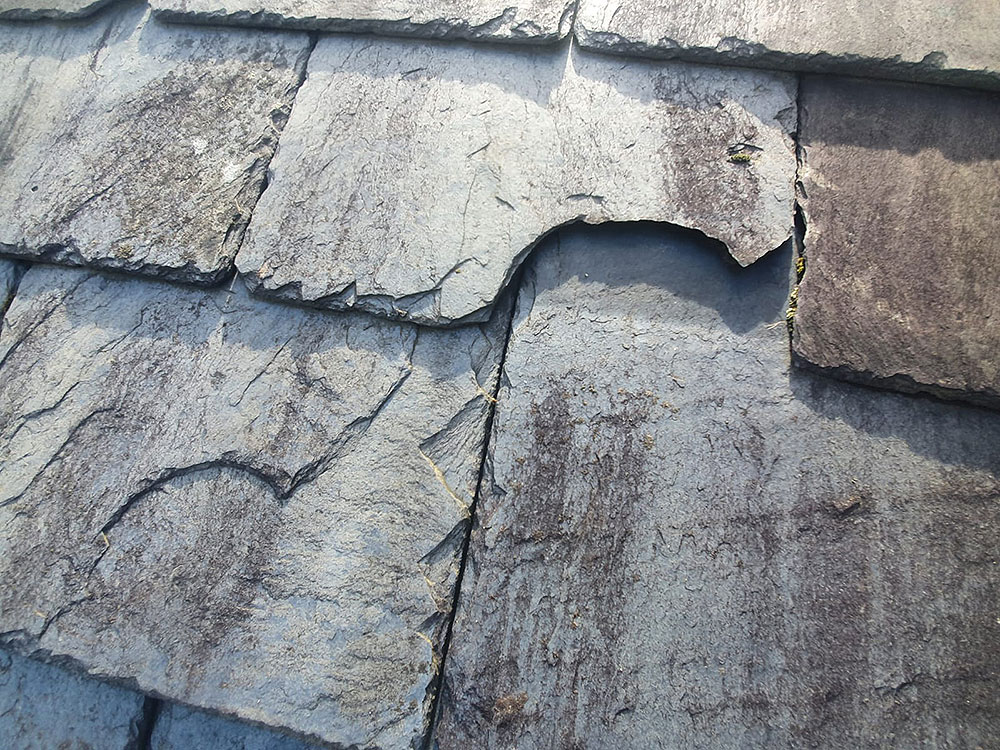 Stacks Image 1751