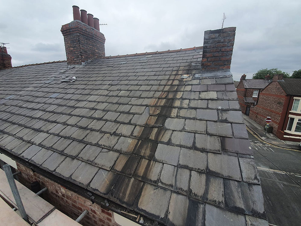 Stacks Image 1745