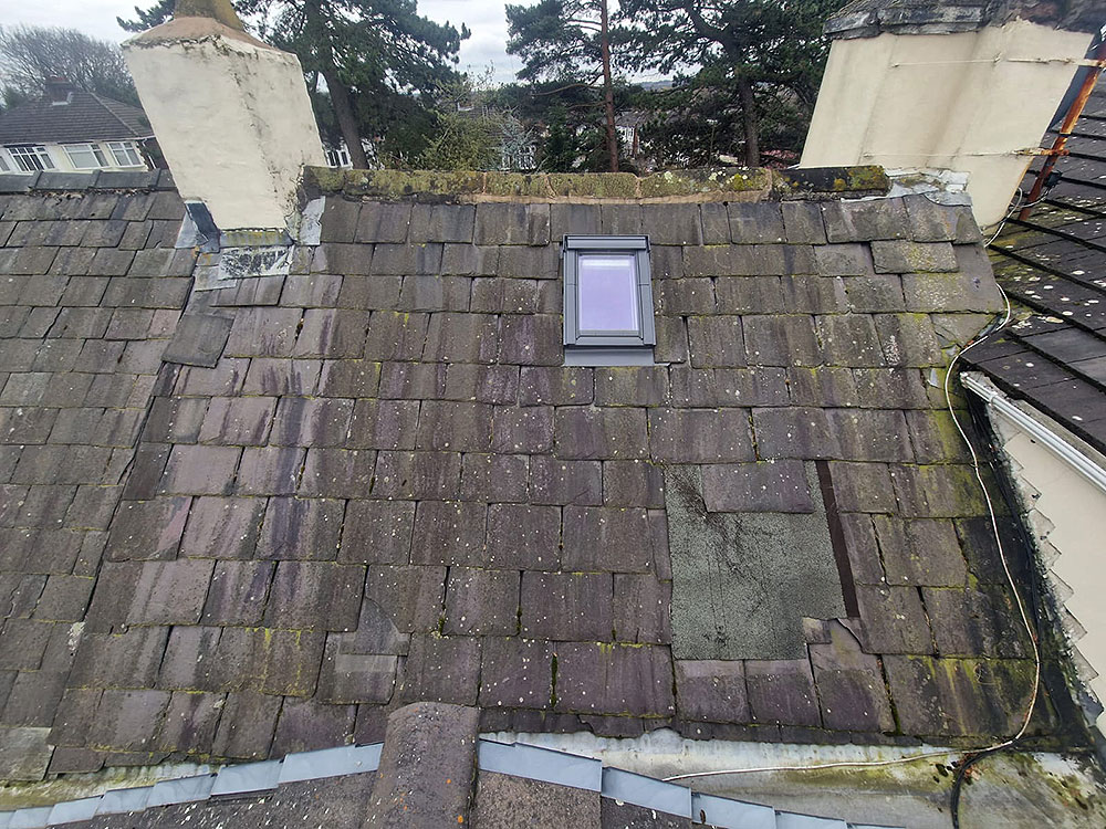 Stacks Image 1748